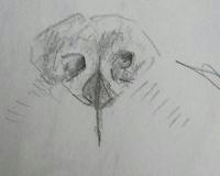 DSCF1175.JPG