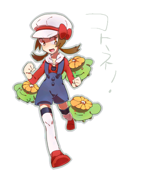20091211.PNG