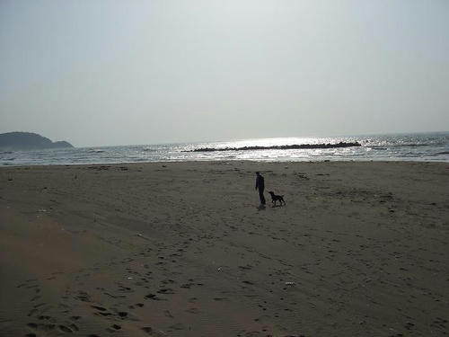 DSCF1392.JPG