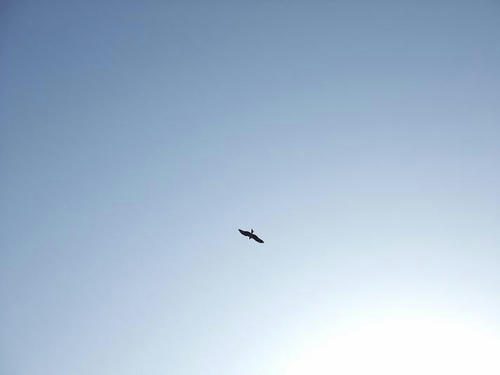 DSCF1462.JPG