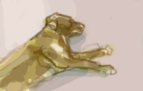 20100701.png