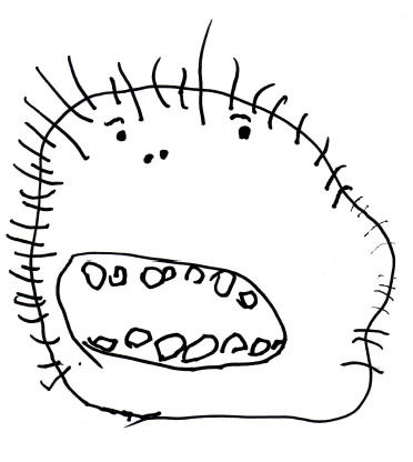 e5.jpg