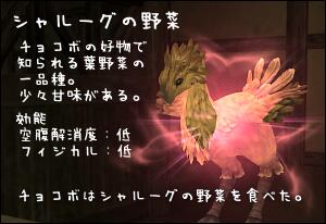 シャルーグの野菜。