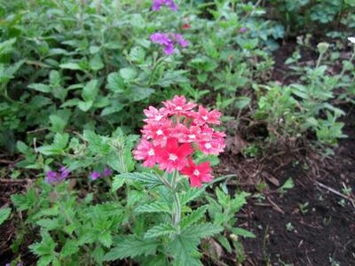 20100709-09