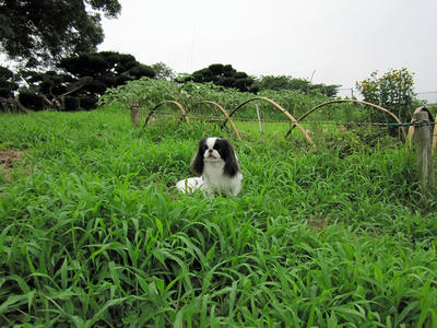 20100709-11