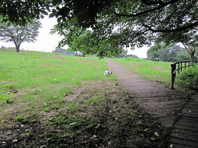 20100709-12