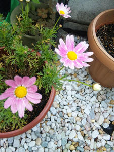 120504_140402.jpg