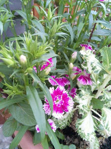 120504_141731.jpg