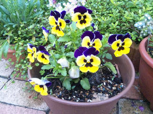 120504_141626.jpg