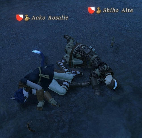 FFXIV_1286298957.jpg