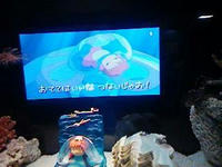 アニメっぽい魚もいたり