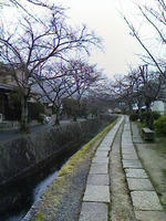 長い長い哲学の道