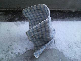 わずかな積雪の上に凍ったぞうきん