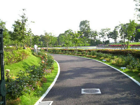 公園