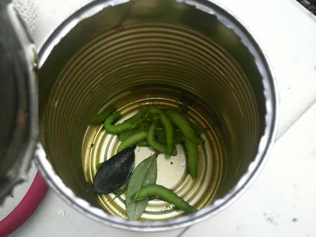 青虫集合③