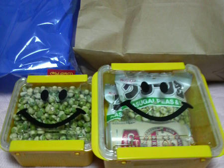 サンタさんの贈り物