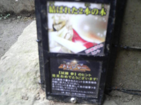 ｴﾉｼﾏﾄﾚｼﾞｬｰ②