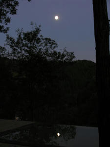IMG_4839.JPG