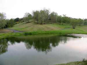 IMG_2532.JPG