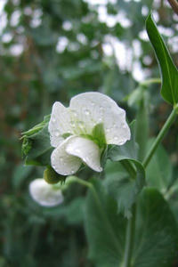DSCF1191.JPG
