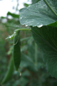 DSCF1193.JPG