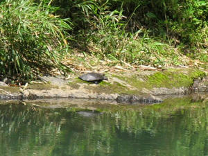 IMG_2725.JPG