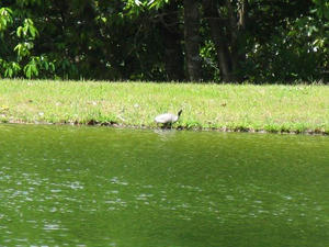 IMG_2755.JPG