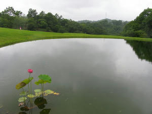 IMG_3127.JPG