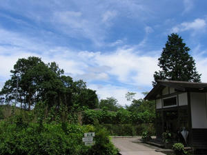 IMG_3163.JPG