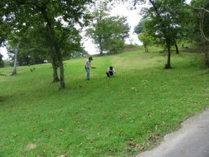 IMG_3712.JPG