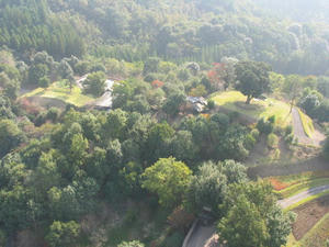 IMG_3911.JPG