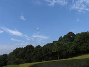 IMG_3955.JPG