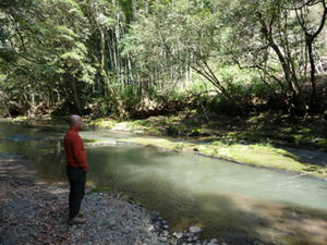 P1000891.JPG