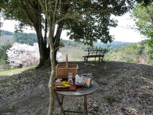 P1000924.JPG