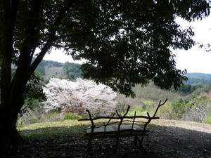 P1000925.JPG