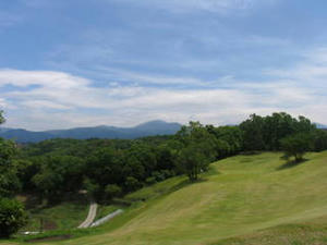 IMG_5565.JPG