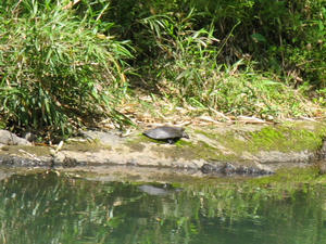 IMG_2724.JPG