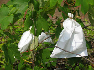 IMG_5748.JPG