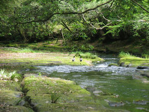 IMG_5649.JPG