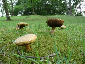 P1010165.JPG