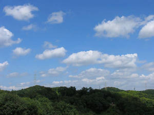 IMG_5883.JPG