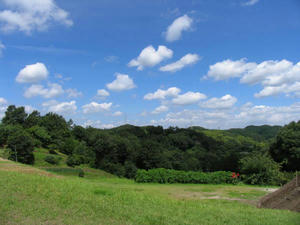 IMG_5885.JPG