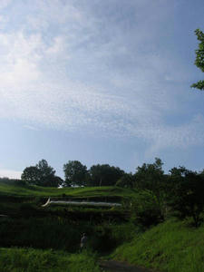 IMG_6175.JPG