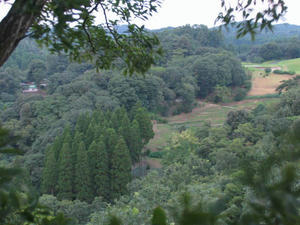 IMG_6632.JPG