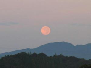 IMG_6805.JPG