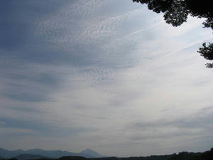 IMG_6852.JPG