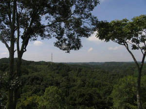 _MG_6772.JPG
