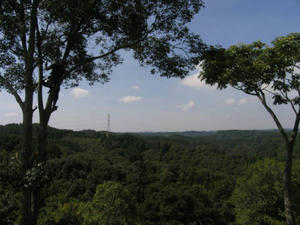 _MG_6774.JPG