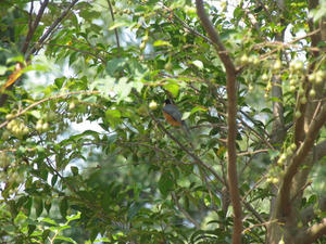 IMG_7031.JPG