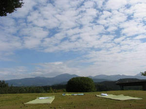 IMG_7077.JPG